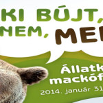 Mackófesztivál az Állatkertben