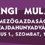 Farsangi mulatság a Vajdahunyadvárban