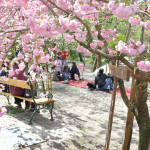 Európai Piknik a Füvészkertben