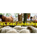 XVI. Kevi Juhászfesztivál Túrkevén