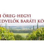 Pinceszer a pálfai Öreghegyen