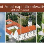 Liliomfesztivál a szegedi Alsóvárosi Ferences Látogatóközpontban