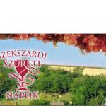 Több mint félszáz program, negyven borászat a szekszárdi szüreti napokon