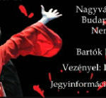 Világcirkusz: tánckoncert januárban Szolnokon