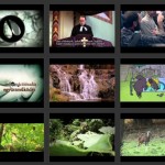 Első gödöllői nemzetközi természetfilm-fesztivál számtalan kísérőrendezvénnyel