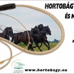 A magyar állattartás és a népi kultúra mutatkozik be a Hortobágyi Lovasnapokon