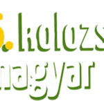 Az ifjúság és Kárpátalja lesz az idei Kolozsvári Magyar Napok kiemelt témája