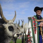 Behajtási ünnep és darufesztivál a Hortobágyon