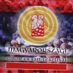 12. Magyarországi Újbor és Sajt Fesztivál