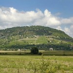 DŰLŐngélő Vince - borünnep a Somló-hegyen