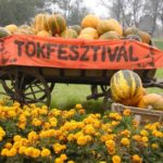 Tökfesztivál az Őrségben