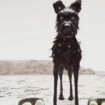 Izland lesz a díszvendége a 25. Titanic Nemzetközi Filmfesztiválnak