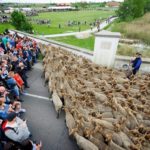 Kihajtási ünnep -Kézműves Vásár -Világörökségünk, a Puszta napja
