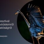 Megújul a Nemzetközi Természet- és Környezetvédelmi Filmfesztivál, a Planet Lens