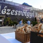 Mézesvölgyi Nyár fesztivál: Cseh Tamástól az operettig
