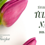 Tavaszköszöntő tulipánnapok a szegedi füvészkertben