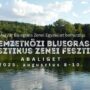 Nemzetközi bluegrass-fesztivál