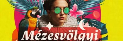 Mézesvölgyi Nyár fesztivál